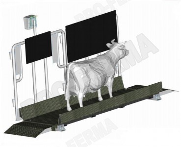 Электронные весы для динамического взвешивания скота Taurus фото #84